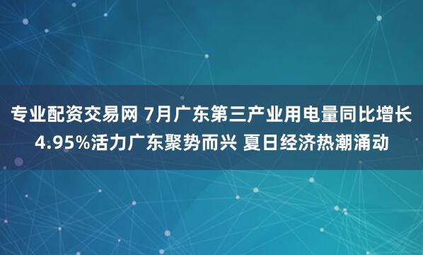 专业配资交易网 7月广东第三产业用电量同比增长4.95%活力广东聚势而兴 夏日经济热潮涌动