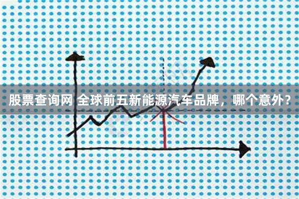 股票查询网 全球前五新能源汽车品牌，哪个意外？